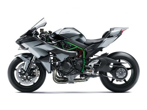 Kawasaki Ninja H2R Серый 2019 H2R