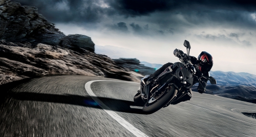 Kawasaki Z1000 R Edition Черный 2019