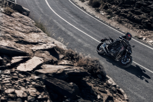 Kawasaki Z1000 R Edition Черный 2019